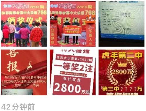 大乐透内幕爆料最新,独家爆料带你走进彩票世界  第1张