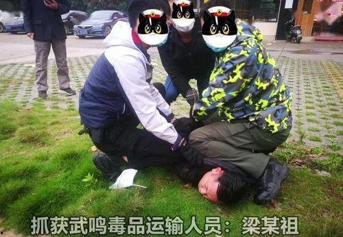 南宁警方爆料案件最新,涉案金额高达数亿元  第2张